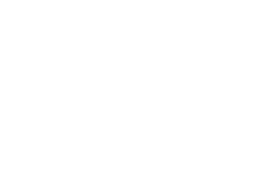 EG — EXAMPLE
